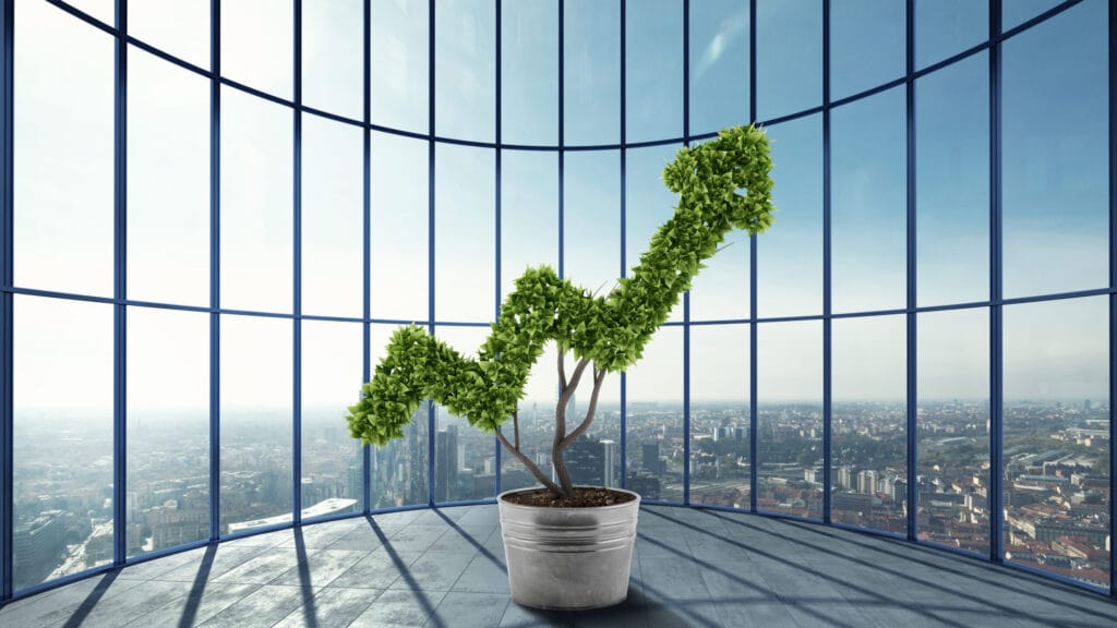 MICERRA – Dubai-based business consultancy for growth, branding, and digital transformation